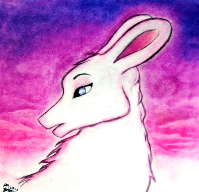 Pastely Zimy