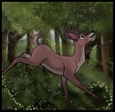 Forest Magic