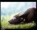 Grandmother