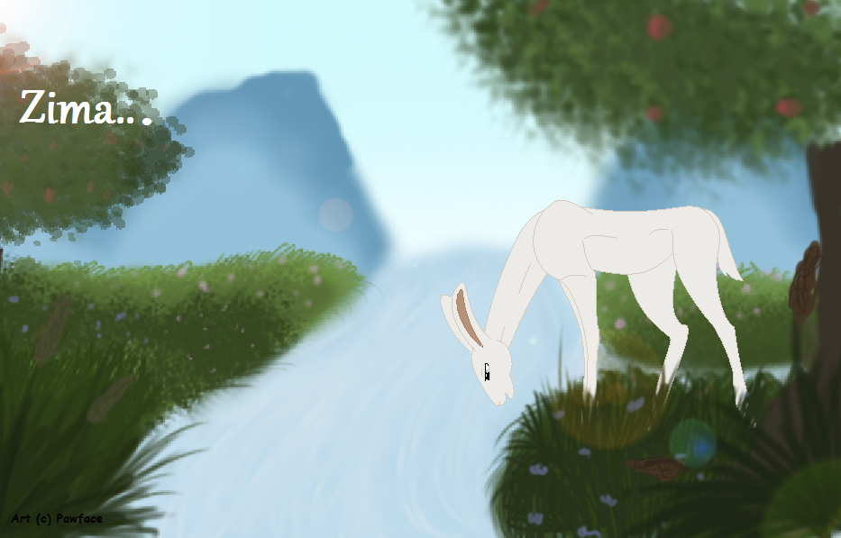 Adult Zima