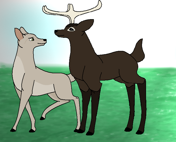 Malvon and Almond