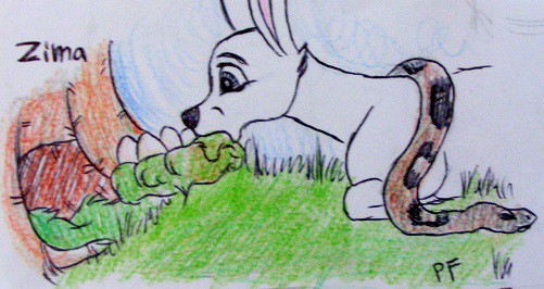 Zima saving a snake