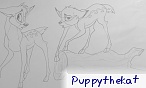 PuppyTheKat