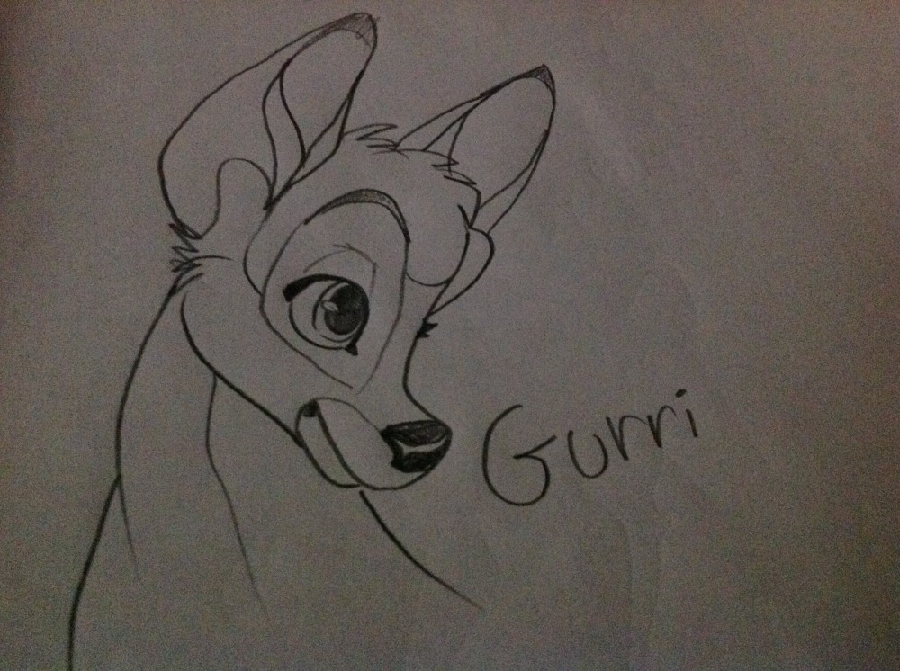 Gurri HeadShot