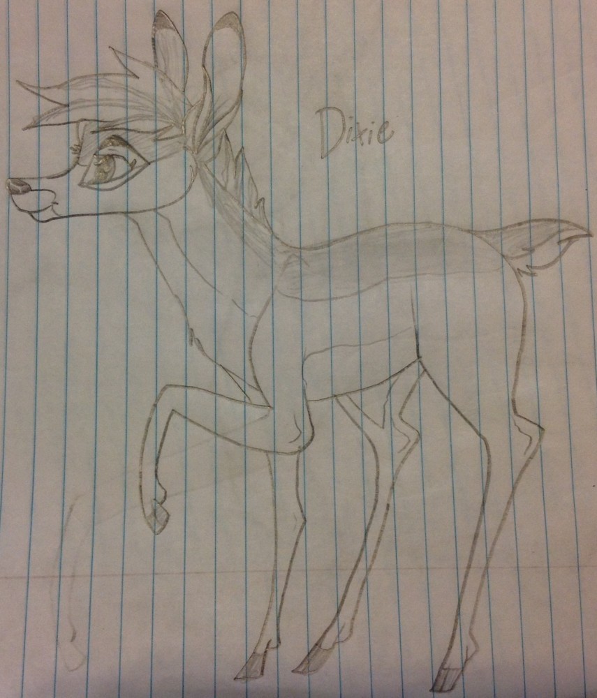 Dixie As an Adult