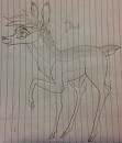 Dixie As an Adult