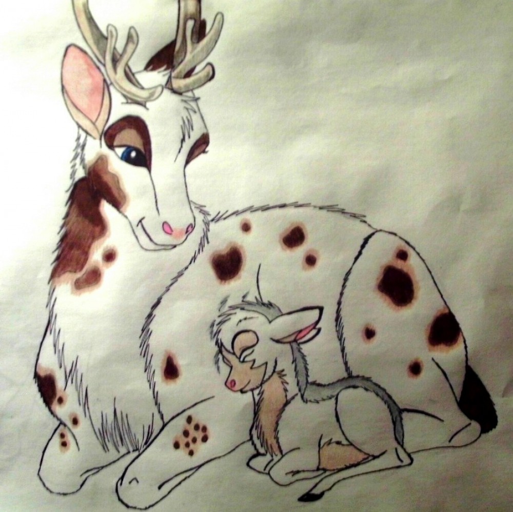 Birth of a King