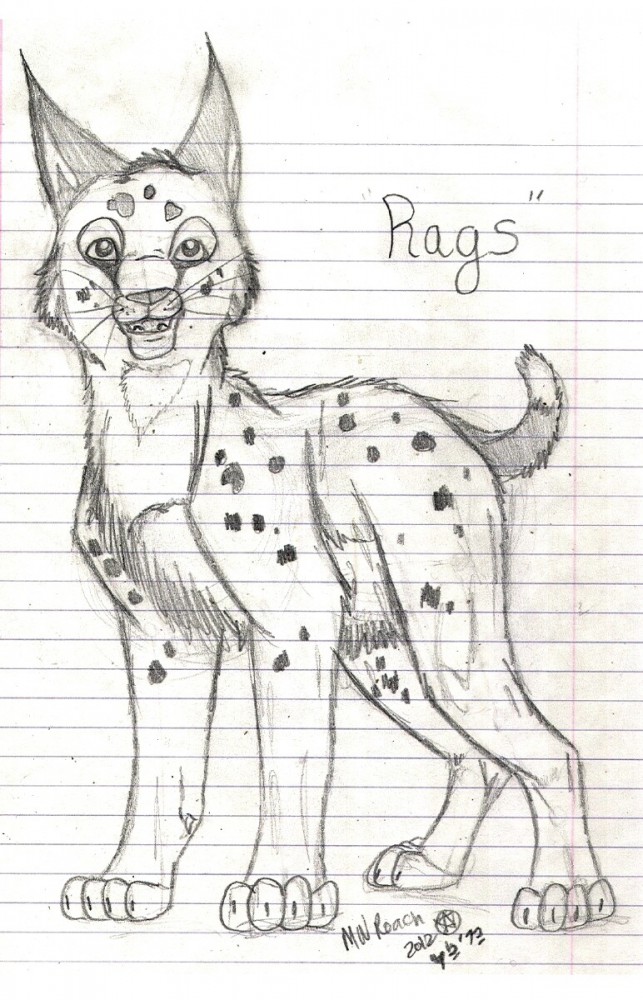 Rags Sketch