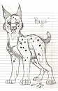 Rags Sketch