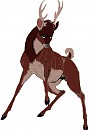 Roebuck Ronno