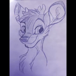 Animation ~