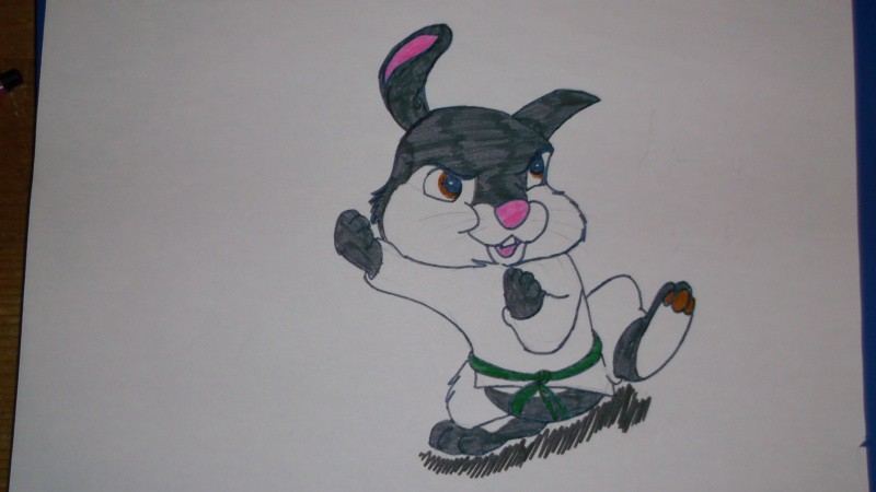 Pan-pan ninja! 