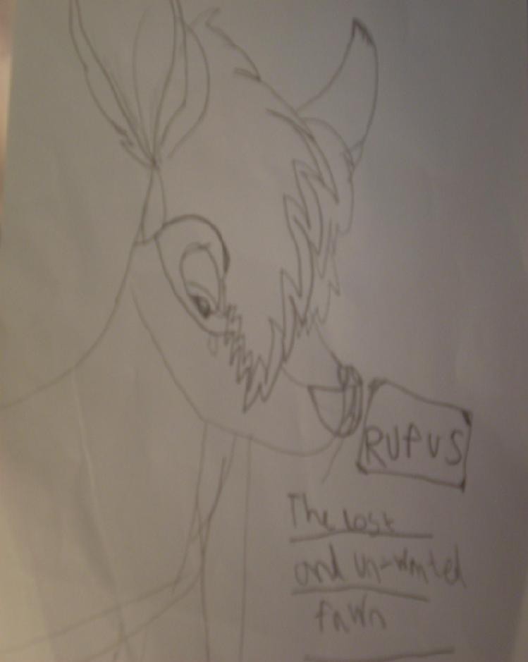 Rufas: The Lost And Unwanted Fawn