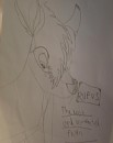 Rufas: The Lost And Unwanted Fawn