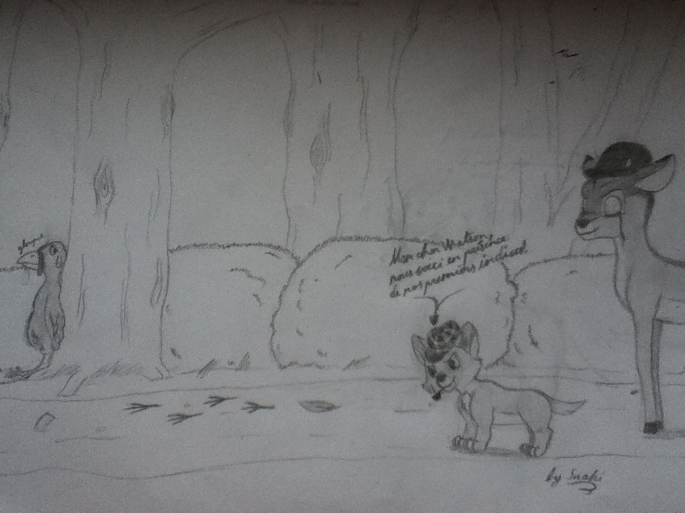 Chat, indice et dinde =D