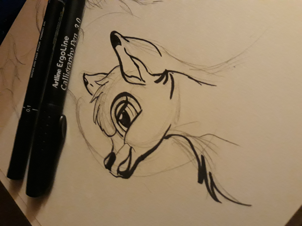 Croquis