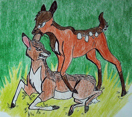 Djenva and his brother Cleft as fawns