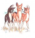 A Walk with Mama