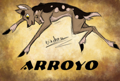 New Body Picture - Arroyo