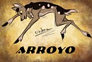 New Body Picture - Arroyo