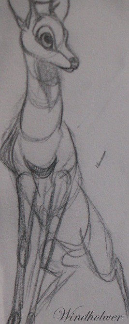 Djen, yearling