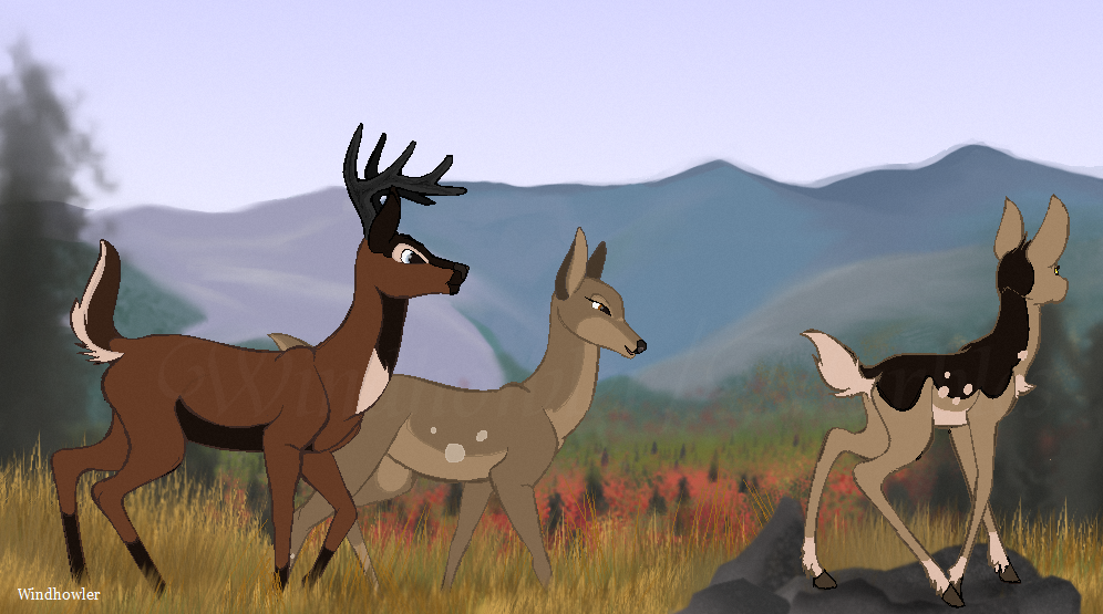 Family Pic | Autumn Walk