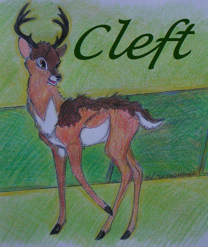 Clefty