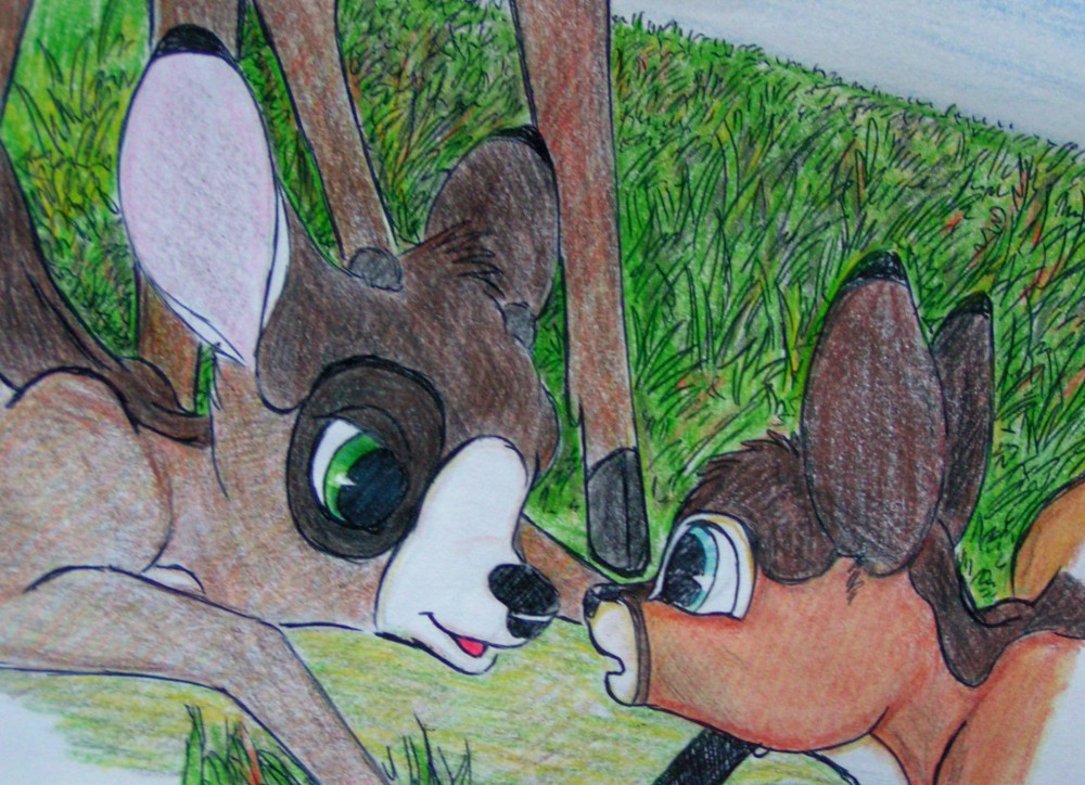 Gillo and Grupa Greet Fir For the First Time...