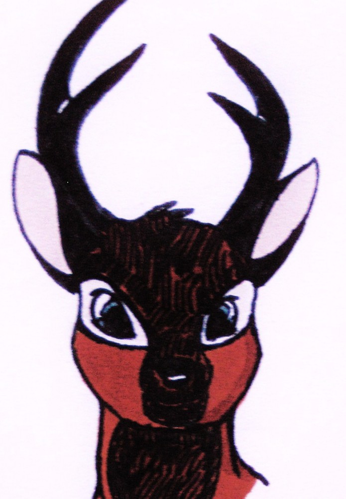 Djenva Head-pic
