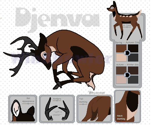 Djenva Pic...and Silver Herd Announcement.