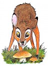 Cleft Finds some Ceps
