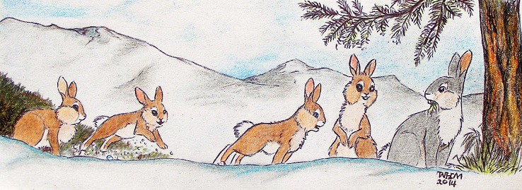 ''Come to the meadow with us!''