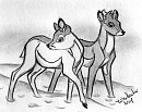 Geno and Gurri