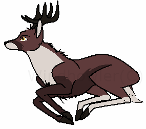 Contest Adoption buck *Ended*