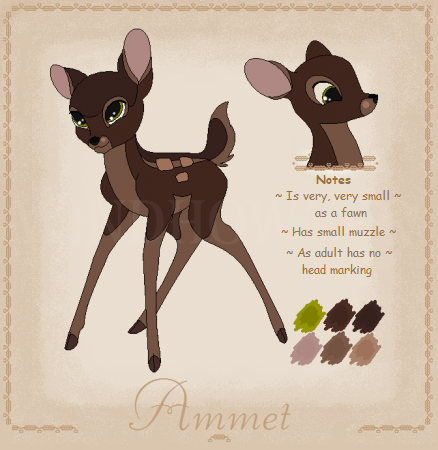 Ammet
