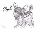 Premier dessin Bambi