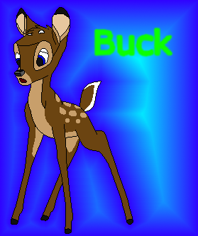 Detail Buck