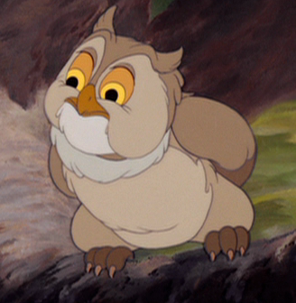 Detail Maître Hibou