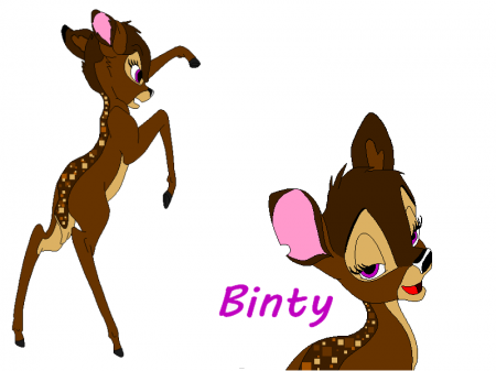 Detail Binty