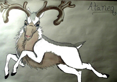 Detail Ataneq