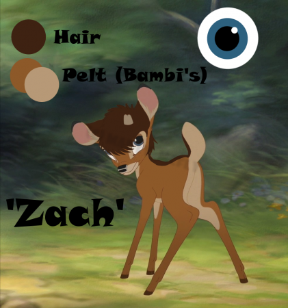 Detail Zach