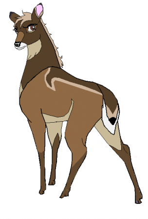 Detail Syndica
