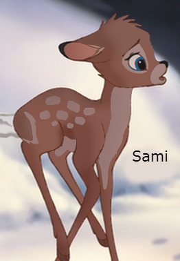 Detail Sami