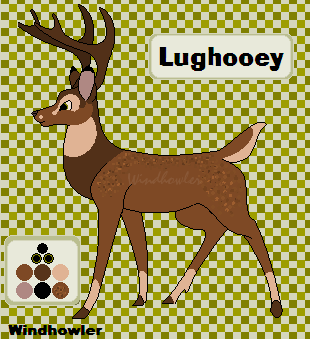 Detail Lughooey