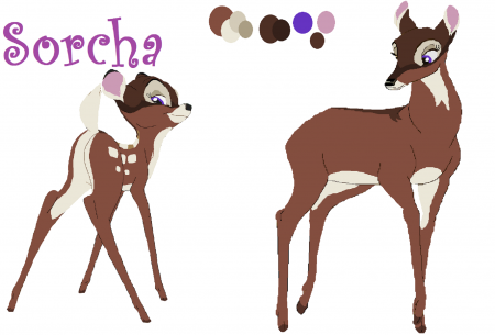 Detail Sorcha (MLW)