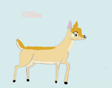 Detail Tilline