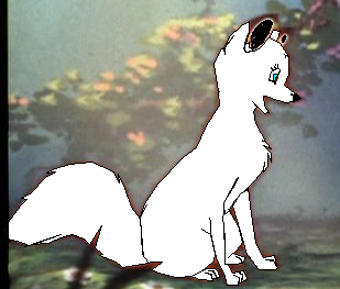 Detail Tundra Fox