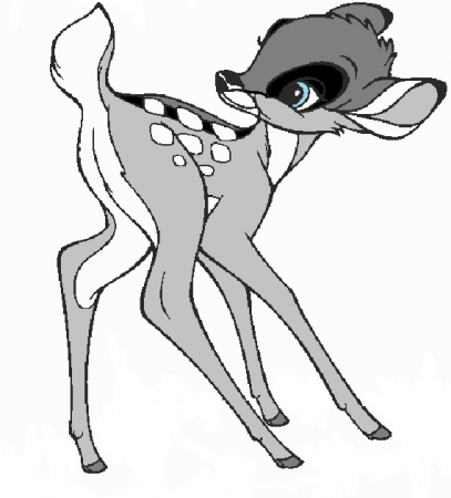 Detail Raccoon