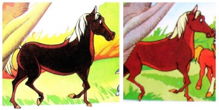 Detail Chestnut's Mother