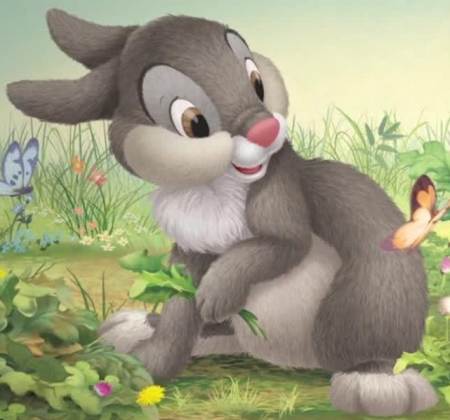 Detail Thumper's Father